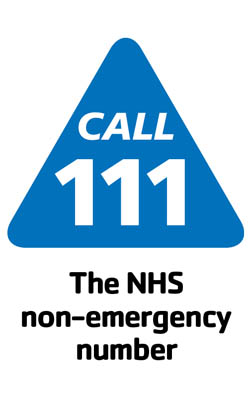 logo for NHS Choices & NHS 111